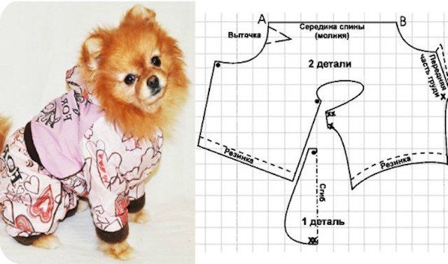 Как сшить одежду для собак своими руками: пошаговые видео с выкройками и инструкциями - все курсы онлайн
