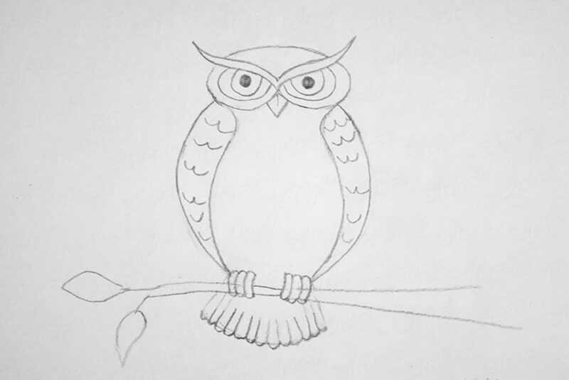 Как нарисовать птицу сову
