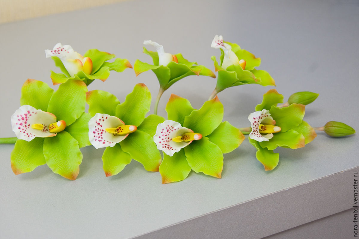 Орхидея из холодного фарфора мастер класс с пошаговым фото