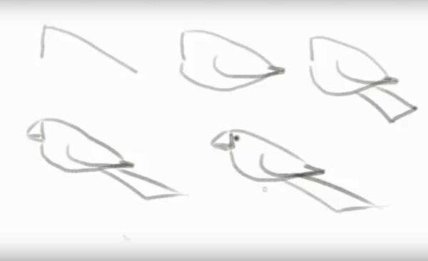Как нарисовать жар-птицу