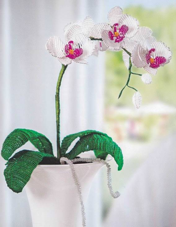Орхидея из бисера: пошаговый мастер-класс с фото