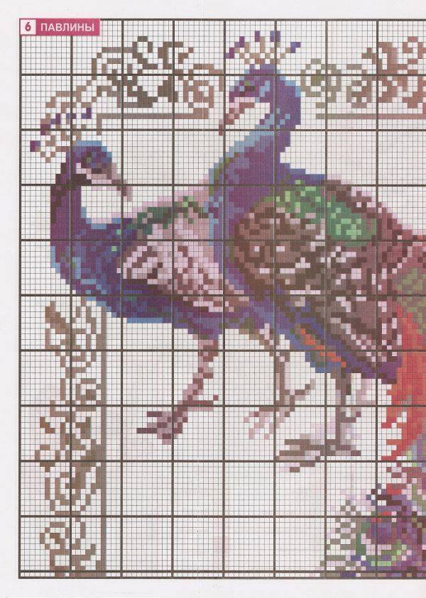 Вышивка крестом птицы по схемам и видео обзор набора