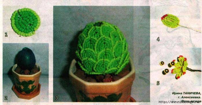 Интересный декор: мастер-класс плетения кактуса из бисера