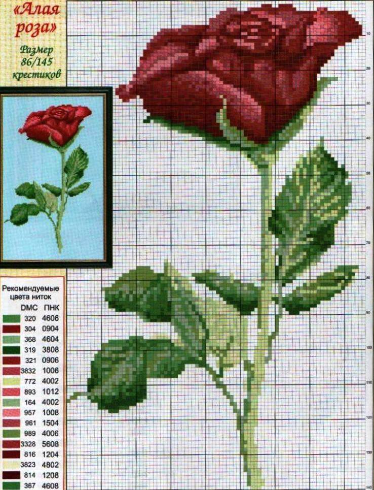 Схемы вышивки розы крестиком