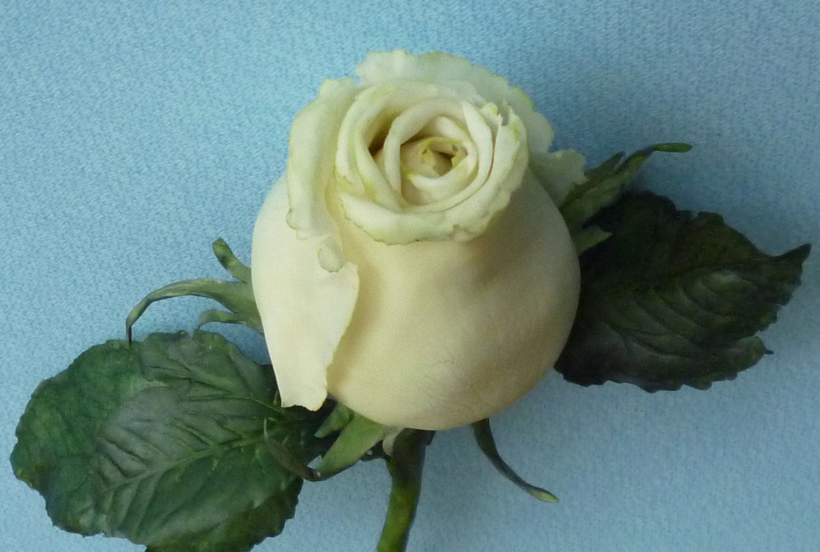Роза из холодного фарфора: мастер-класс по изготовлению