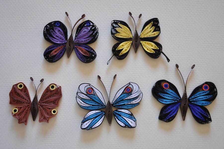 Квиллинг бабочка: мастер класс и схемы для новичков