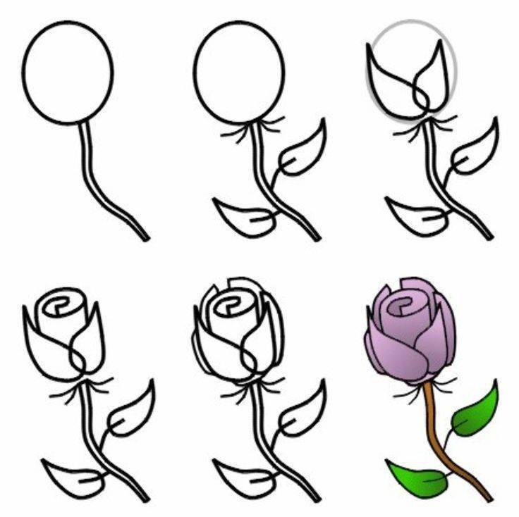 Как нарисовать розу  поэтапно 12 уроков