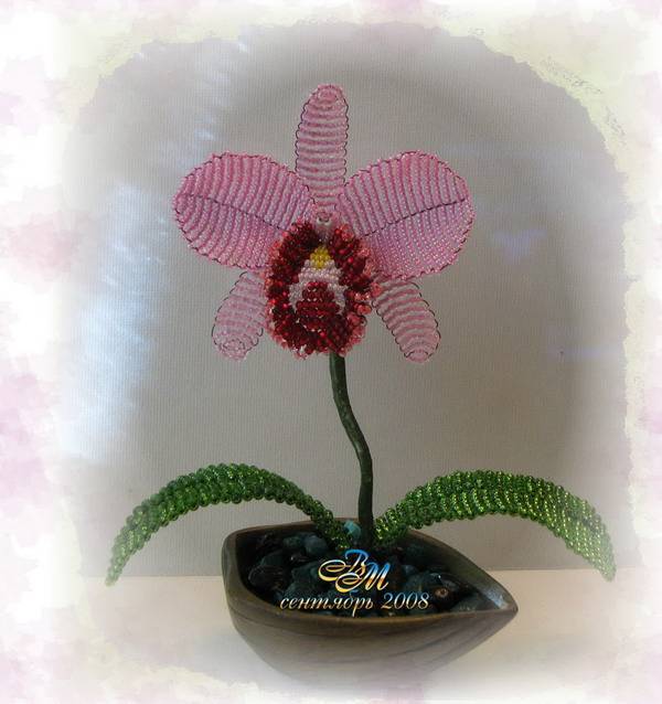 Орхидея из бисера: пошаговый мастер-класс и схемы плетения