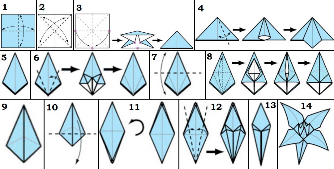 Лилия оригами схема