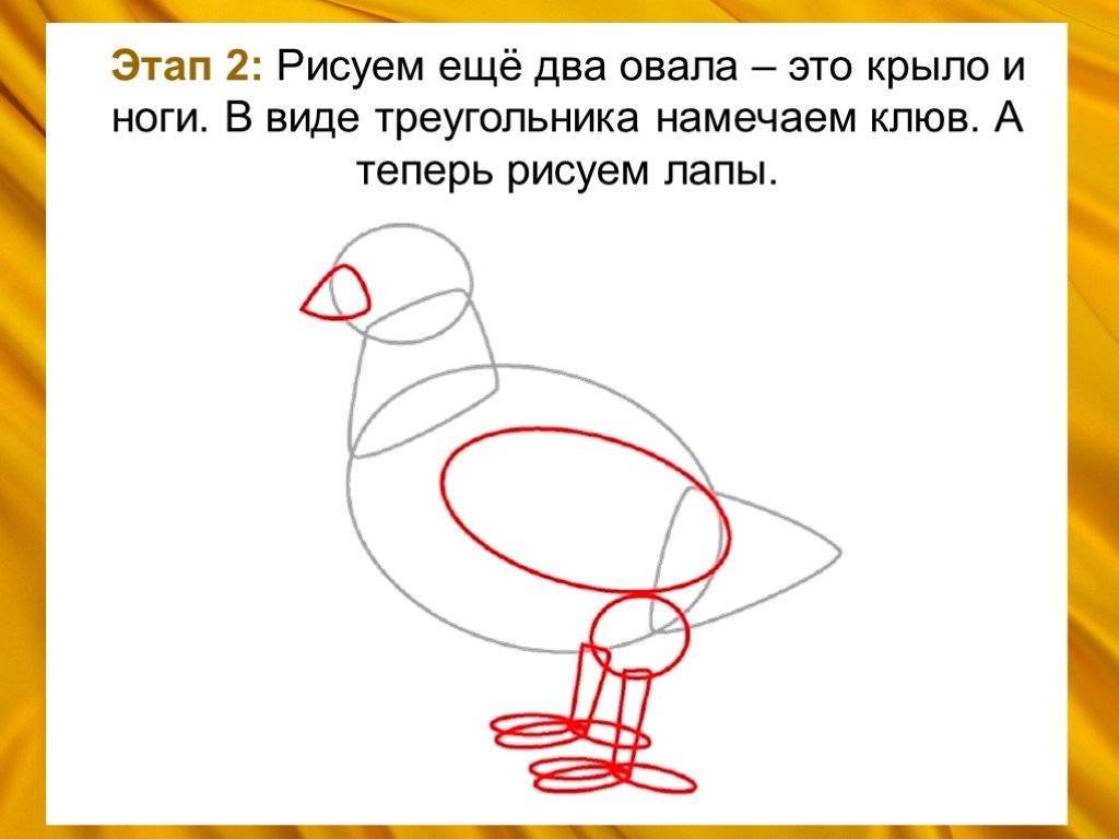 Рисуем курицу рябу легко: мастер-класс как нарисовать