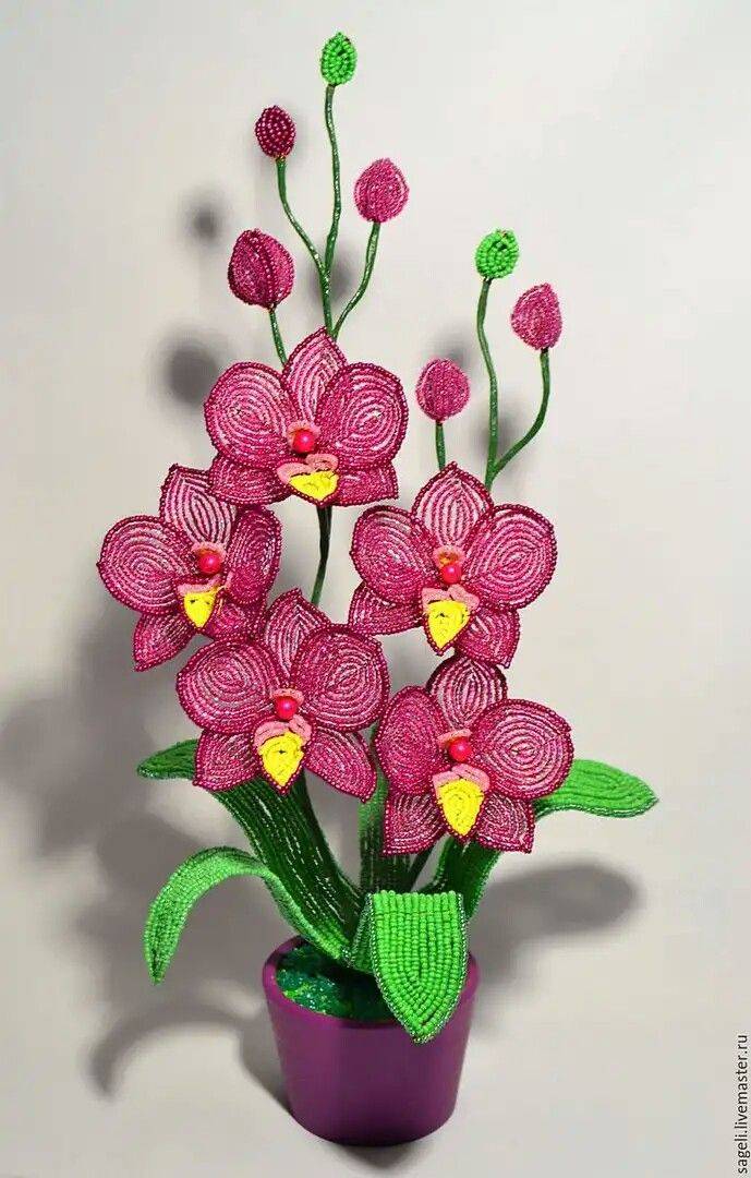 Орхидея из бисера: лучший мастер класс