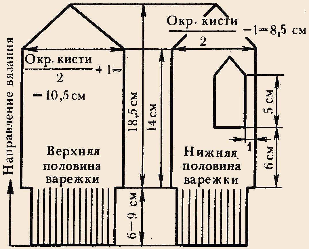 Схема вязания варежек спицами для начинающих женские