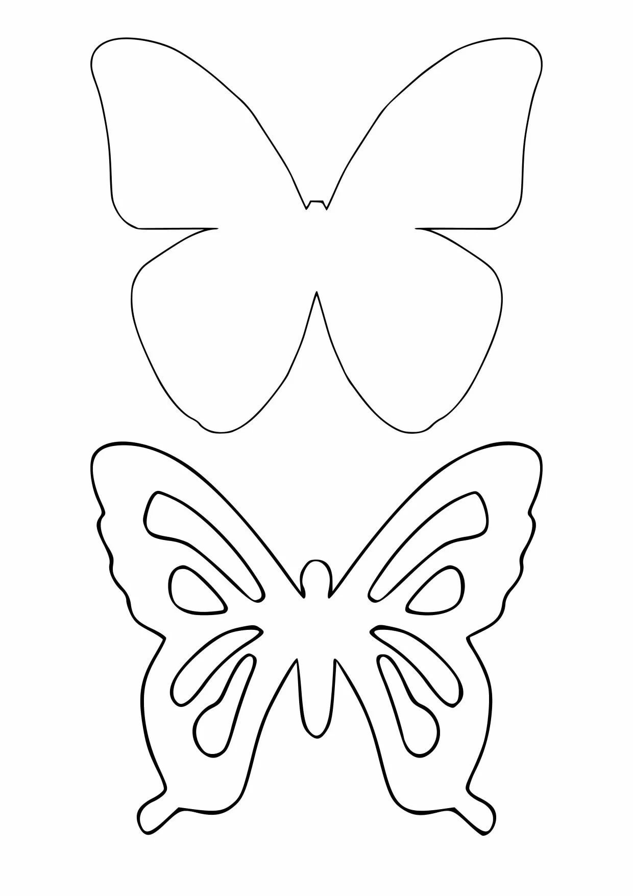Аппликация бабочка из цветной бумаги - 62 шаблона для создания детских аппликаций