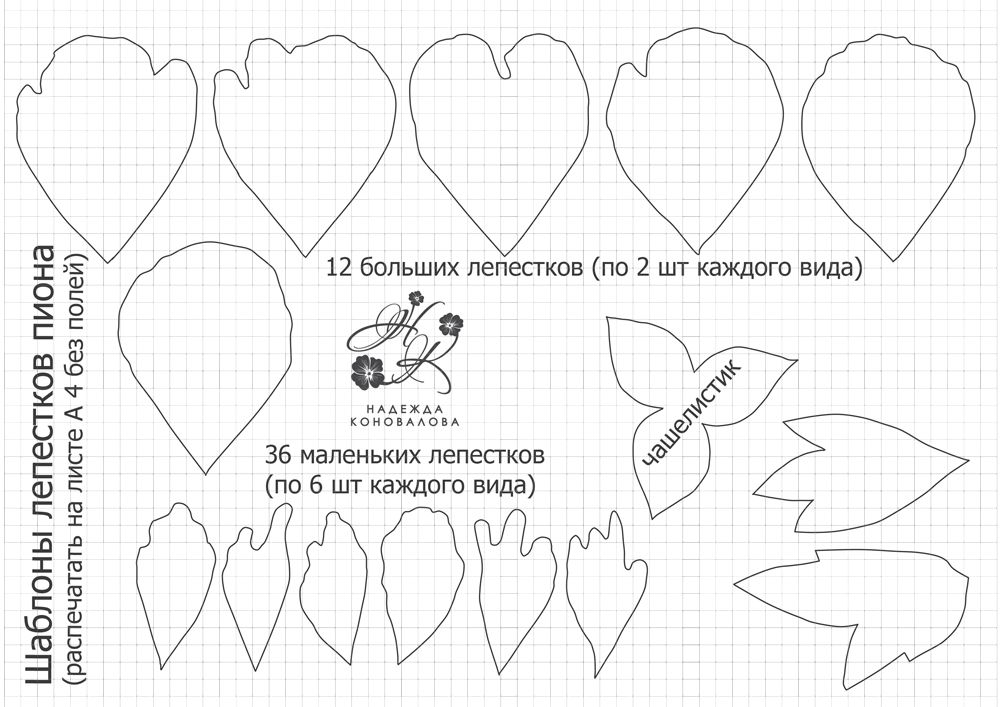 Цветы из фоамирана для начинающих пошагово с фото схемы с шаблонами