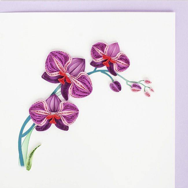 Мастер-класс флористика искусственная бумагопластика квиллинг орхидея новый вариант бумага бумажные полосы клей краска проволока
