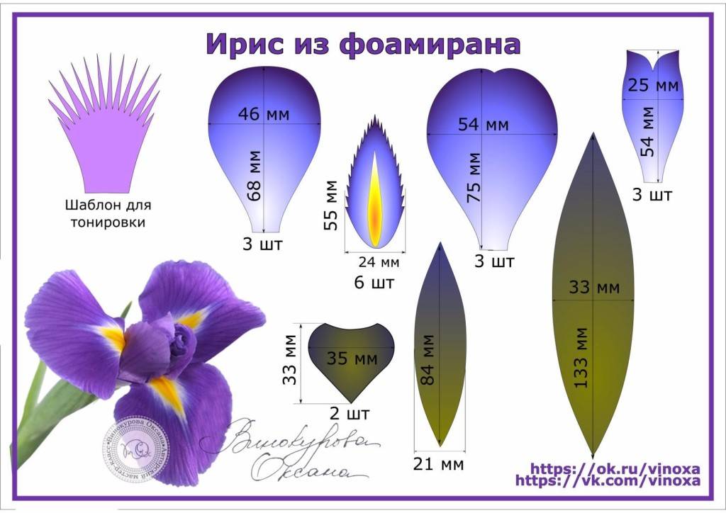 Цветы из фоамирана своими руками: шаблоны и схемы