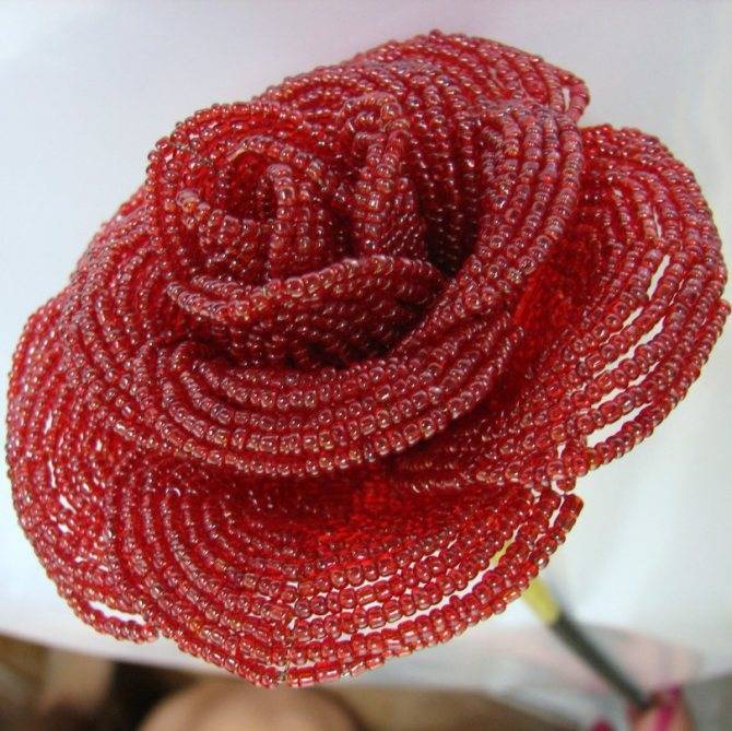 Как сделать розу из бисера: пошаговое описание схемы плетения с фото. как делаются цветы из бисера своими руками