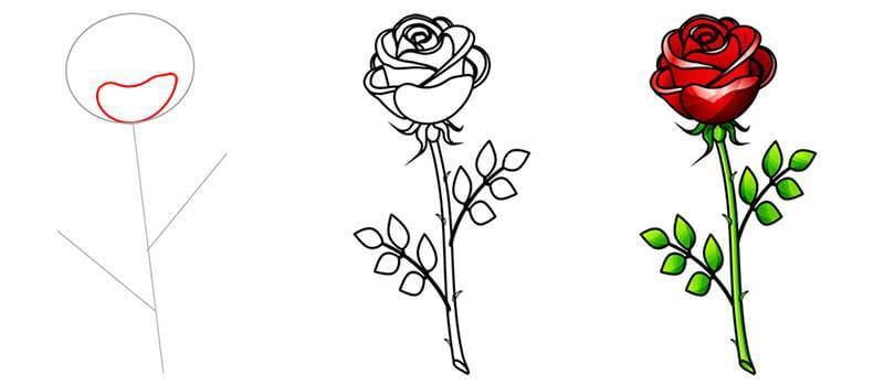 Как нарисовать розу рисунок розы карандашом поэтапно