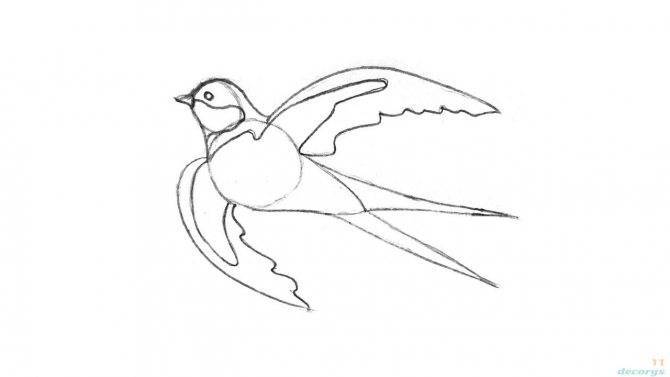 Как нарисовать павлина карандашом поэтапно: урок по рисованию павлина с раскрытым хвостом для начинающих