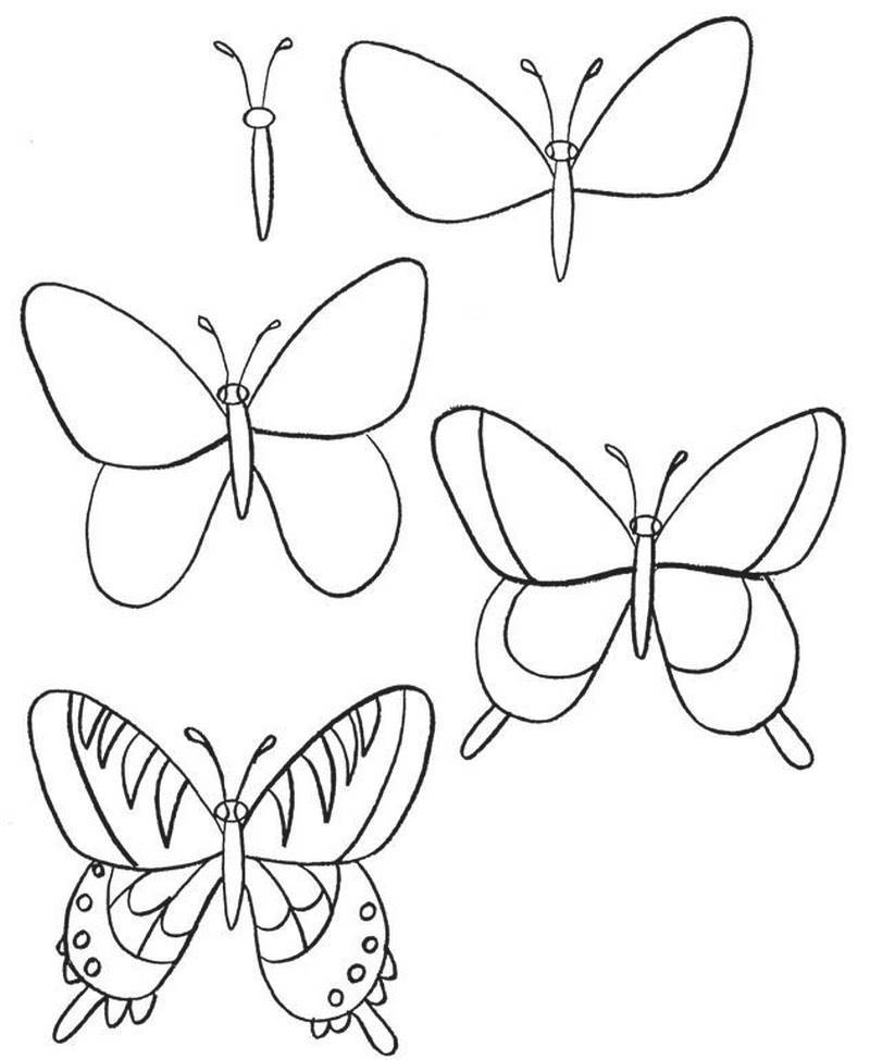 Как правильно нарисовать карандашом красивую бабочку поэтапно для начинающих и детей? как нарисовать крылья бабочки, маленькую бабочку на цветке карандашом и красками?