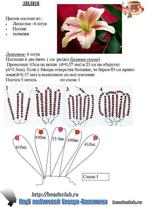 Схема как плести цветочек из бисера