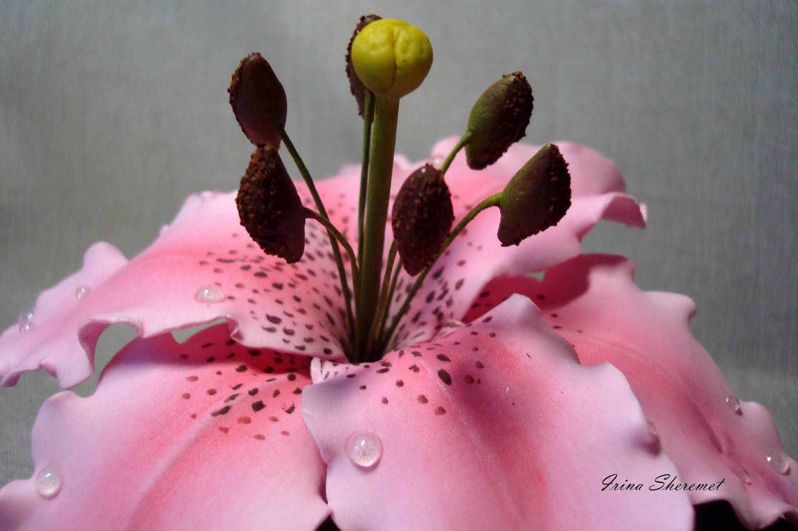 Лилии из фоамирана: фото и мастер-класс пошагово, выкройка и шаблон, мк с бутоном, цветы руками как сделать