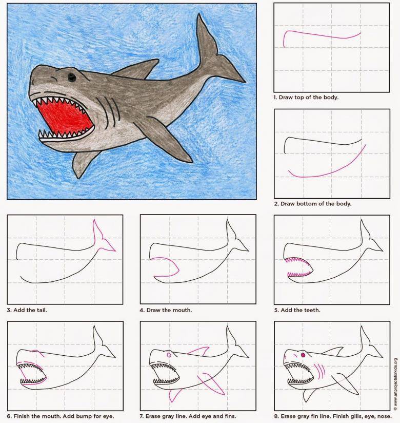 Как легко нарисовать акулу — рекомендации начинающим художникам
