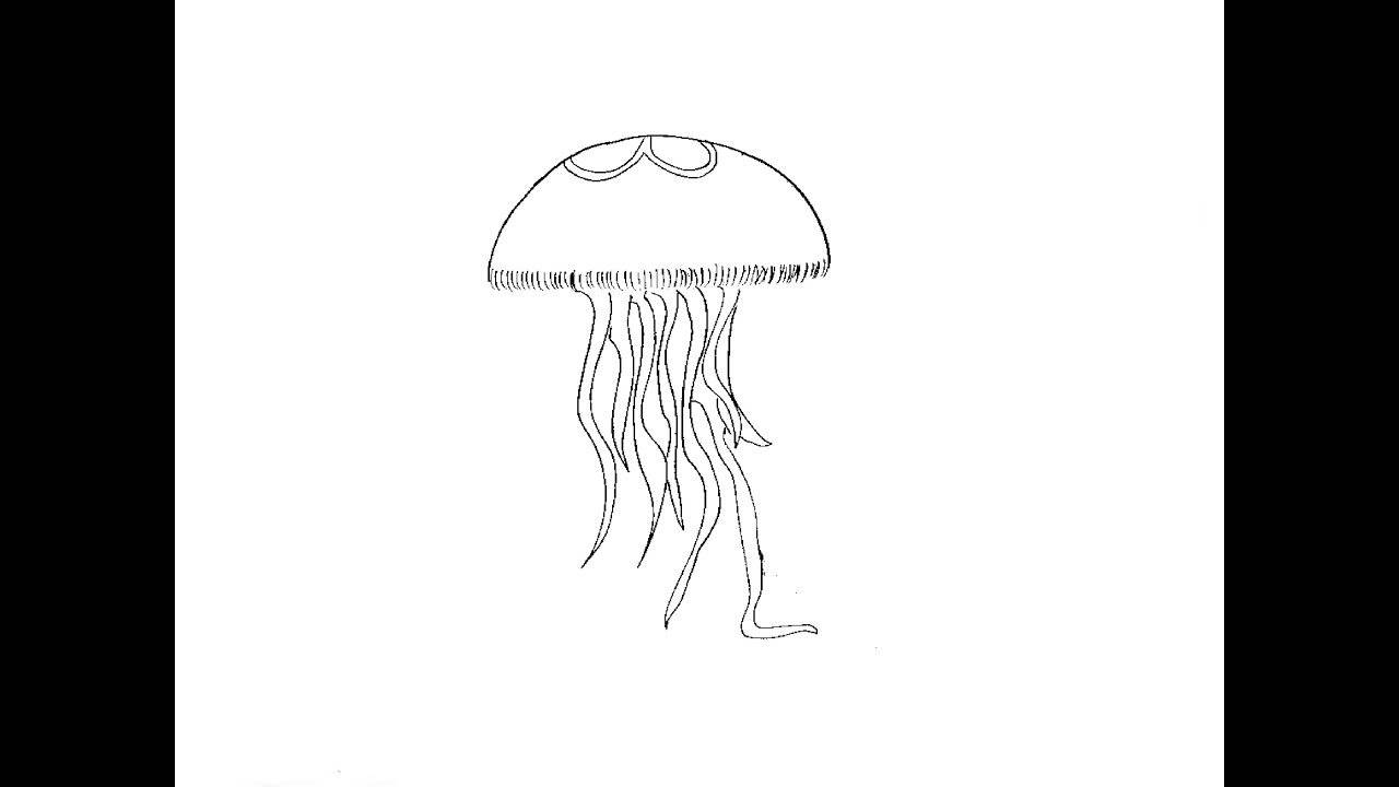 Урок рисования: поэтапное создание реалистичной медузы карандашом