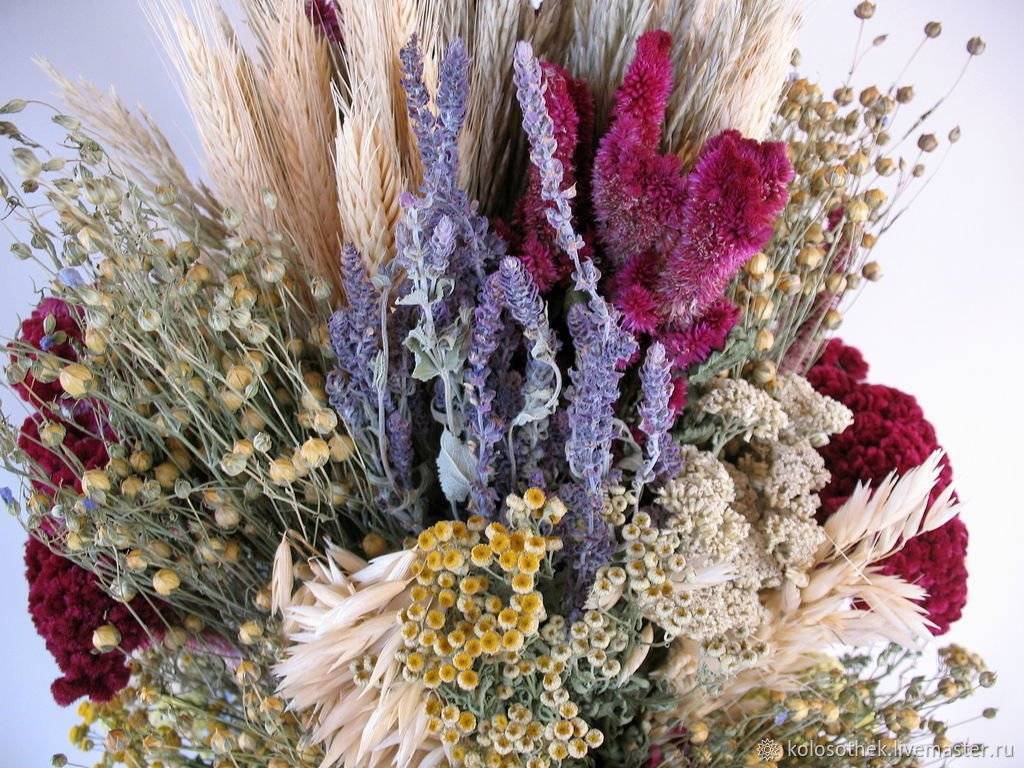 Никогда не вянут: 12 вдохновляющих идей букетов и композиций из сухоцветов