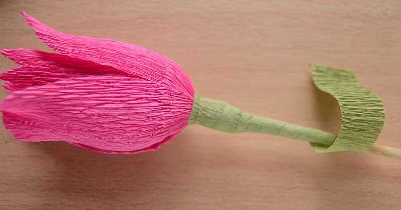 Делаем красивые тюльпаны из гофрированной бумаги — лучшие фото идеи