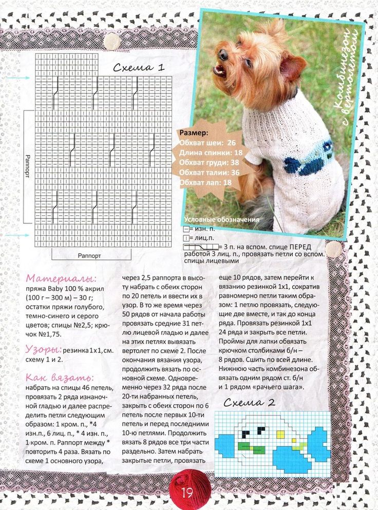 Вязание для собак