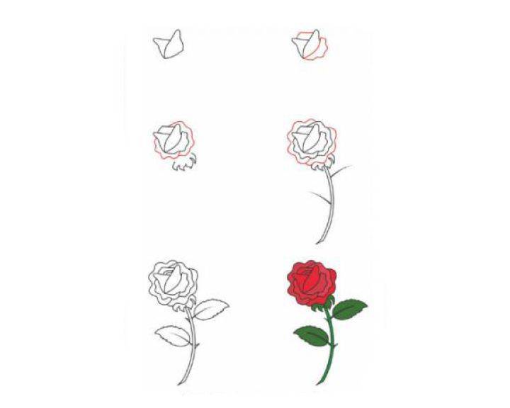 Как легко и красиво нарисовать розу?