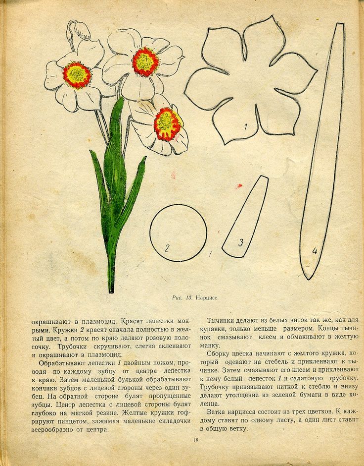 Нарцисс из фоамирана своими руками схемы шаблоны