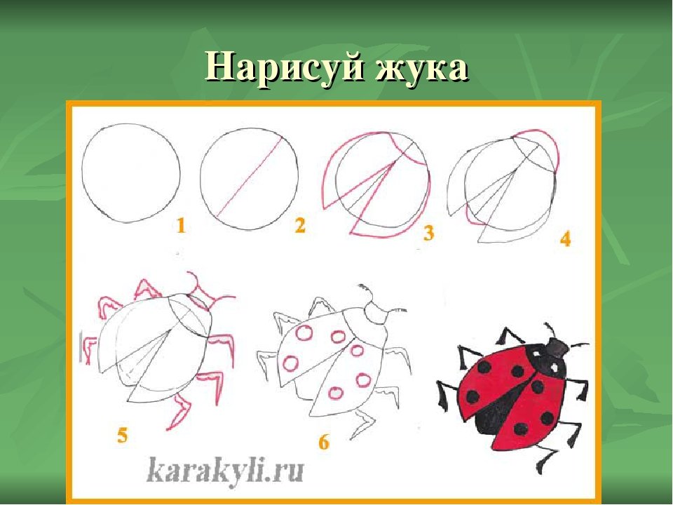 Как нарисовать жука карандашом поэтапно для детей 2 класса