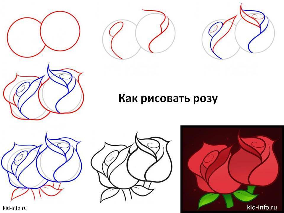 Как правильно рисовать розу