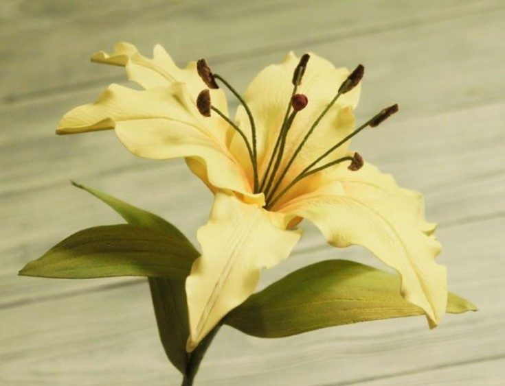Цветы из фоамирана лилия, лилия из фоамирана, как пошагово сделать цветок мастер-класс и черный цветок