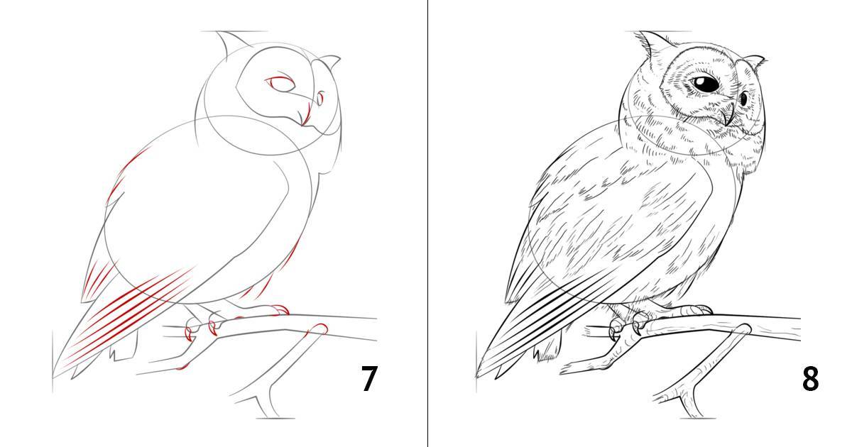 Как рисовать сову карандашом поэтапно для начинающих и детей? как рисовать по клеточкам сову, красками?