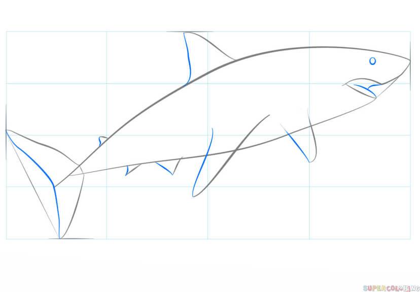 Как легко и красиво нарисовать морских обитателей поэтапно карандашом для начинающих