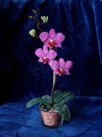 Орхидея из бисера своими руками со схемами, фото и видео