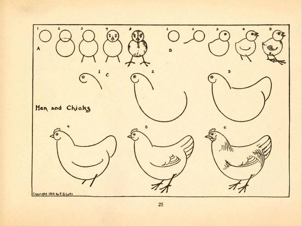 Курица рисунок для детей: картина карандашом и красками