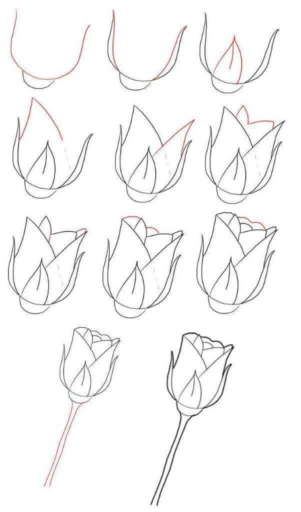 Как нарисовать розу карандашом, поэтапно для начинающих