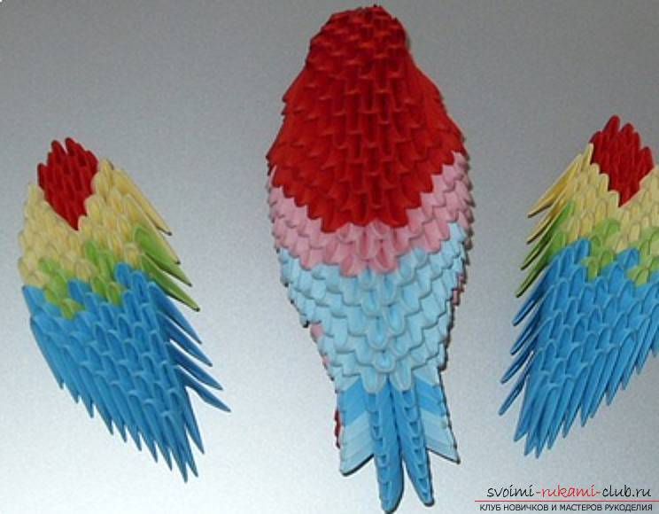 Складываем бумажных попугайчиков техникой оригами