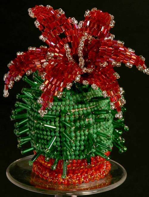 Декабрист - 90 фото выращивания тропического кактуса на дому