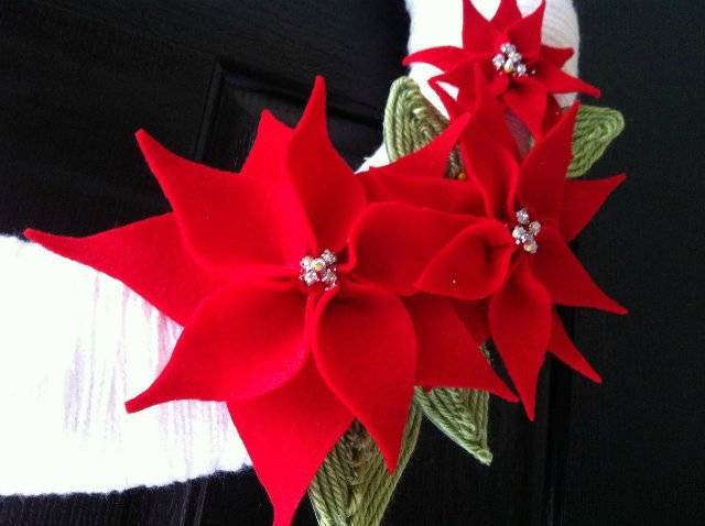 Как ухаживать за цветком рождественская звезда (пуансеттия)