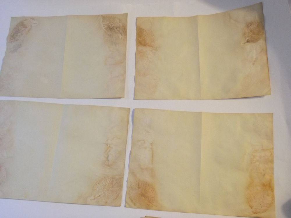 Как сделать лист бумаги под старину с помощью чая и кофе