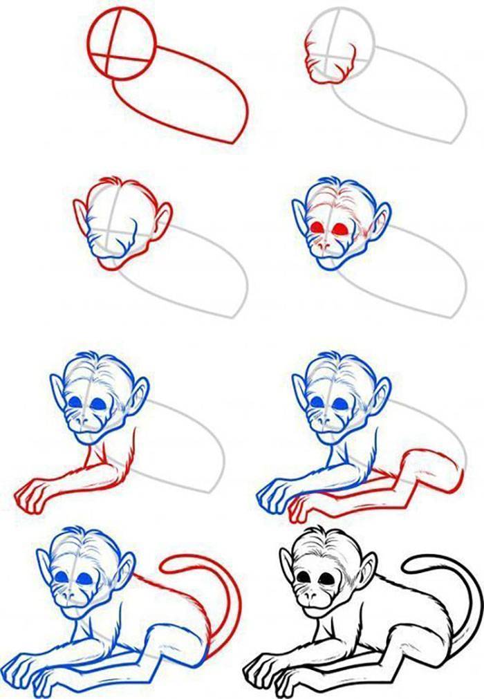 Как поэтапно нарисовать обезьяну: для детей и взрослых. как нарисовать обезьяну
