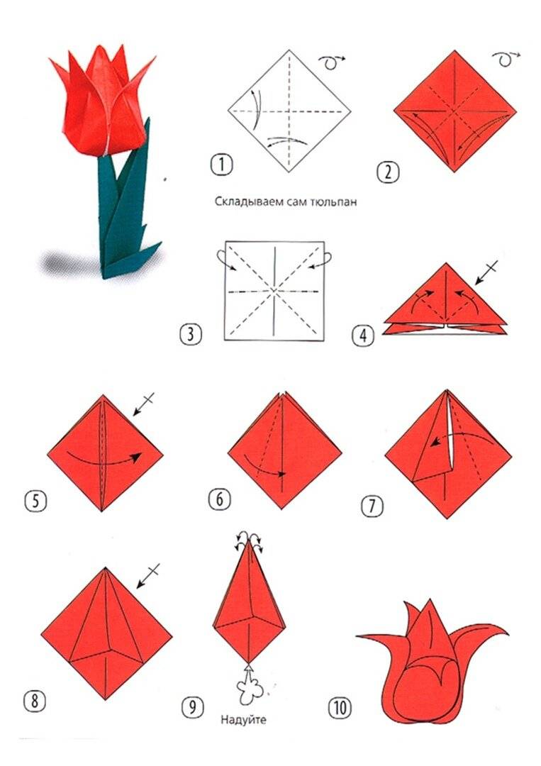 Тюльпан оригами схема пошагово