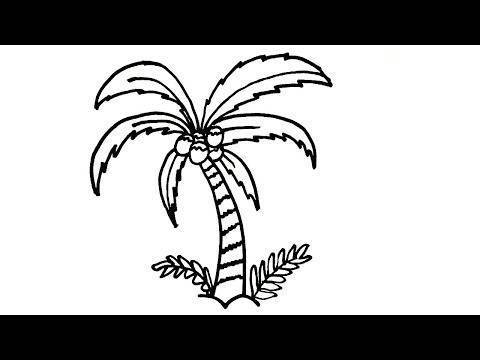 Как нарисовать пальму карандашом поэтапно легко и просто