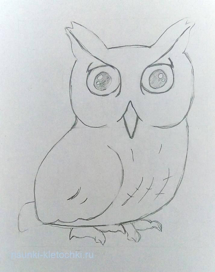 Как нарисовать сову пошагово — схемы и советы по созданию эскиза карандашом. интересный мастер-класс для детей