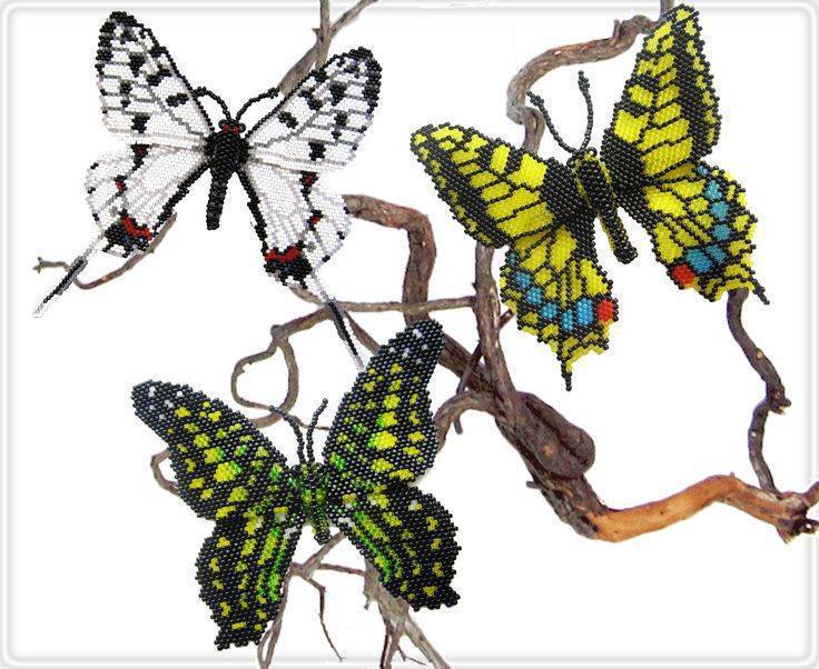 Бабочка из бисера — простые мастер-классы красивых изделий для начинающих